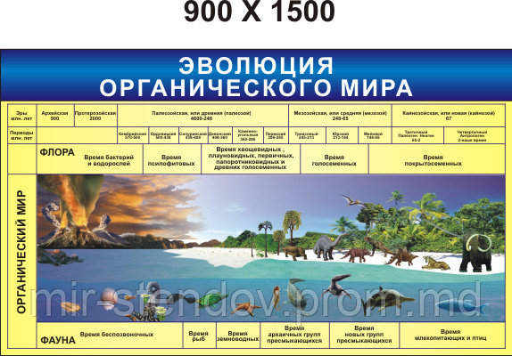 Эволюция органического мира. Стенд для кабинета биологии, фото 1