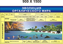 Эволюция органического мира. Стенд для кабинета биологии