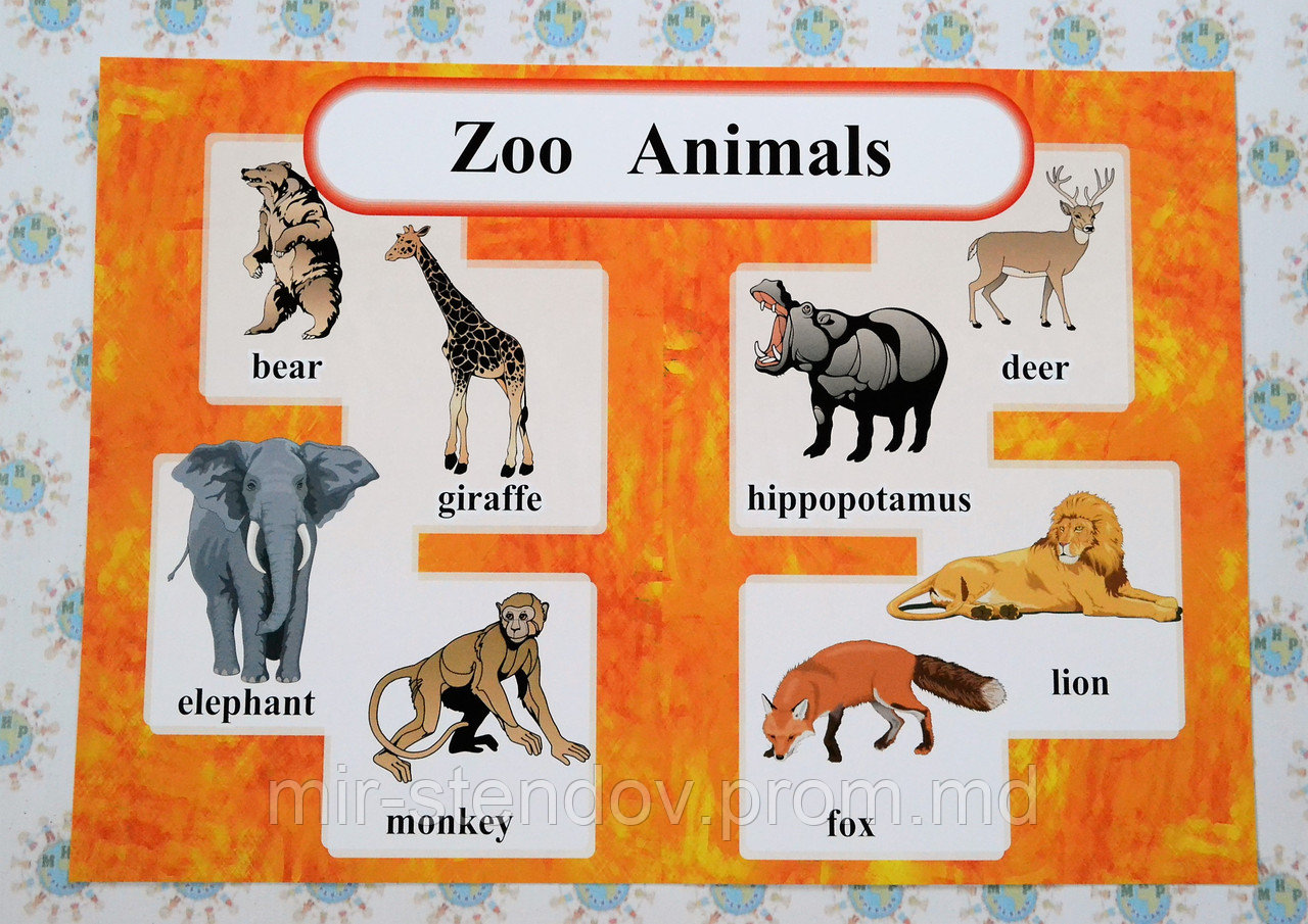 ZOO ANIMALS. Стенд для кабинета английского языка. - фото 1 - id-p5994472