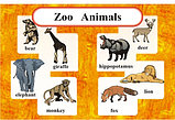 ZOO ANIMALS. Стенд для кабинета английского языка., фото 2