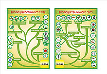 Картонные плакаты по Биологии