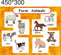 Farm Animals. Стенд для кабинета английского языка.