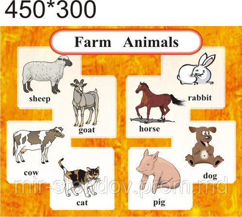 Farm Animals. Стенд для кабинета английского языка. - фото 1 - id-p5994652