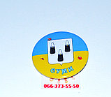 Значок символика города Сумы, фото 3