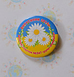 Значок От выпускников, фото 3