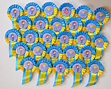 Значок Классный руководитель с розеткой и хвостиком, фото 2