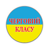 Значок сувенирный Символика Украины Дежурный класса, фото 4