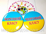 Значок сувенирный Символика Украины Дежурный класса, фото 5