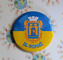Значок сувенірний герб м. Стрий