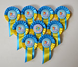 Значок Выпускник с розеткой. Ленты на выпускной, фото 2