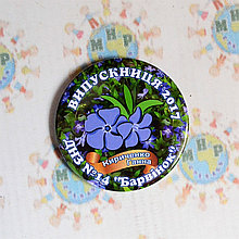 Значок Выпускника детского сада Барвинок