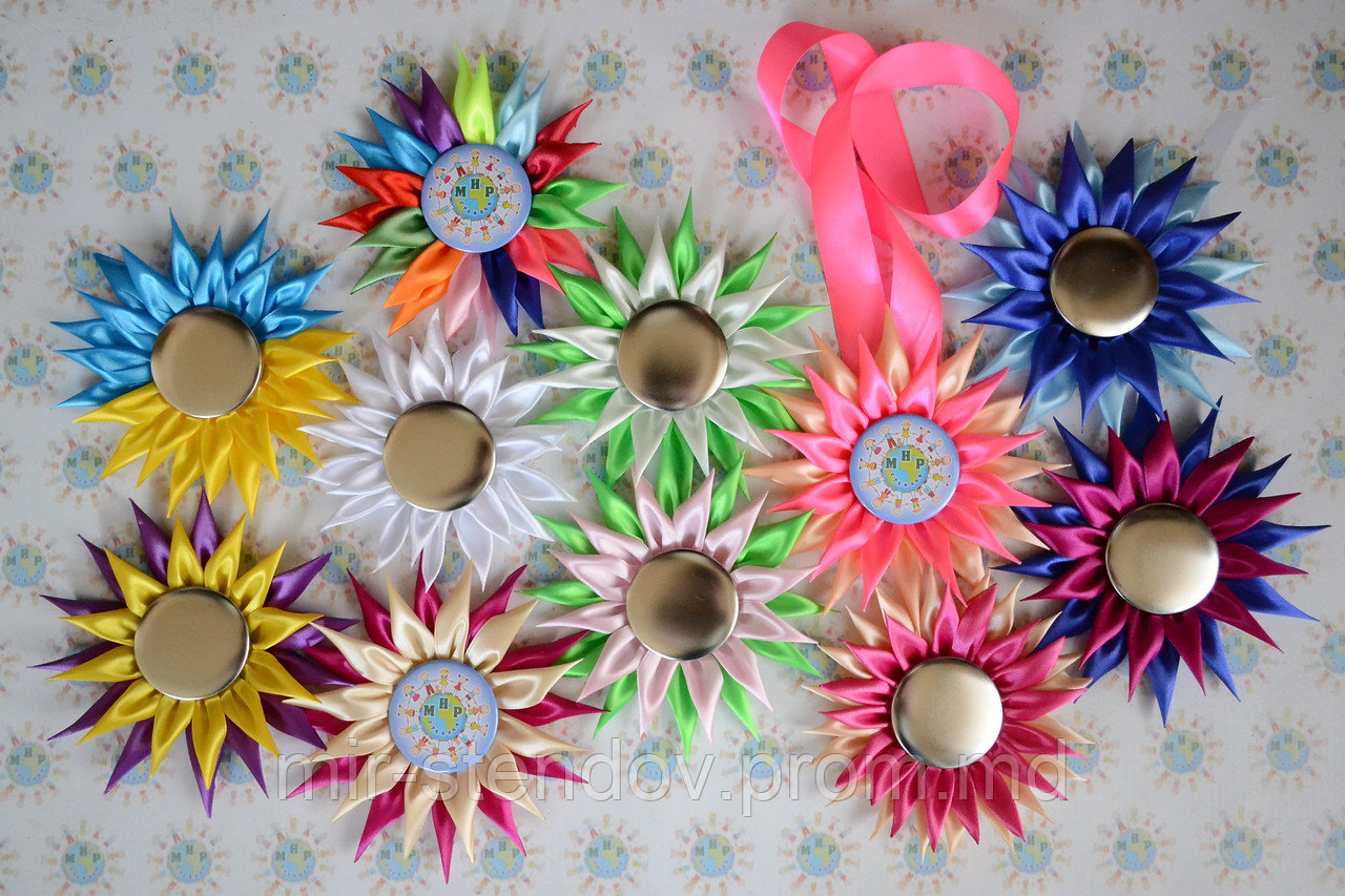 Значки с розетками и медаль. Комплект из 11 штук, фото 1