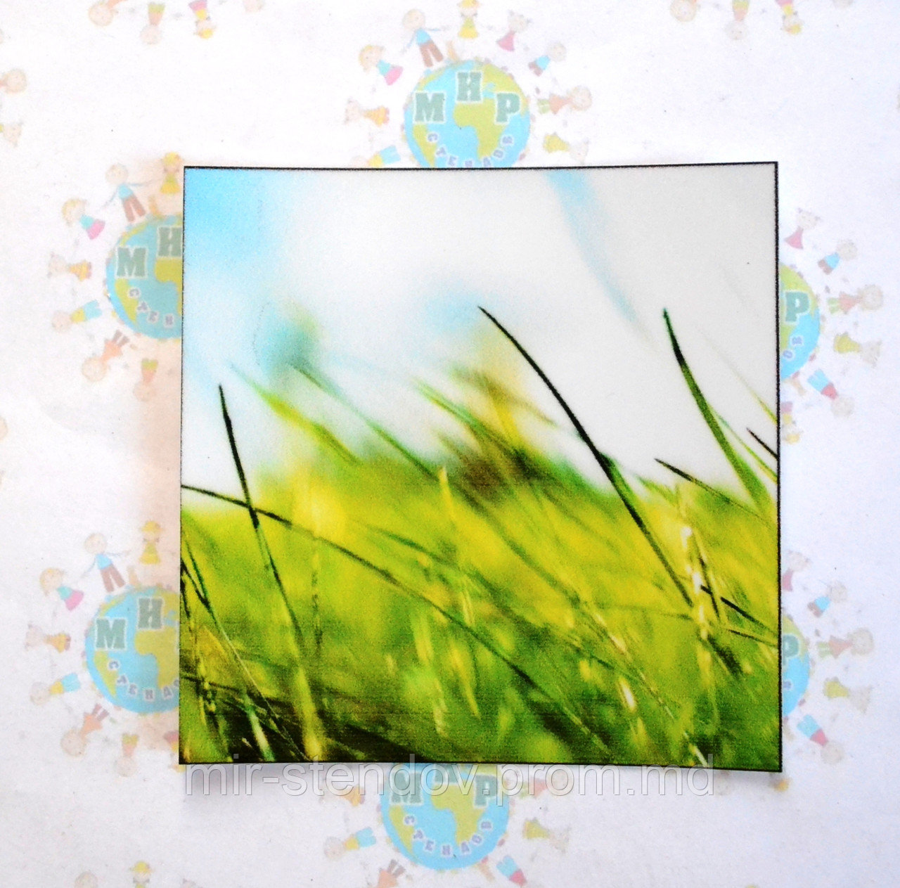 Наклейка на выключатель Трава, фото 1