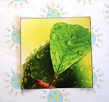 Наклейка на выключатель Листочек