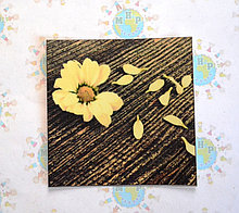 Наклейка на выключатель Лепестки