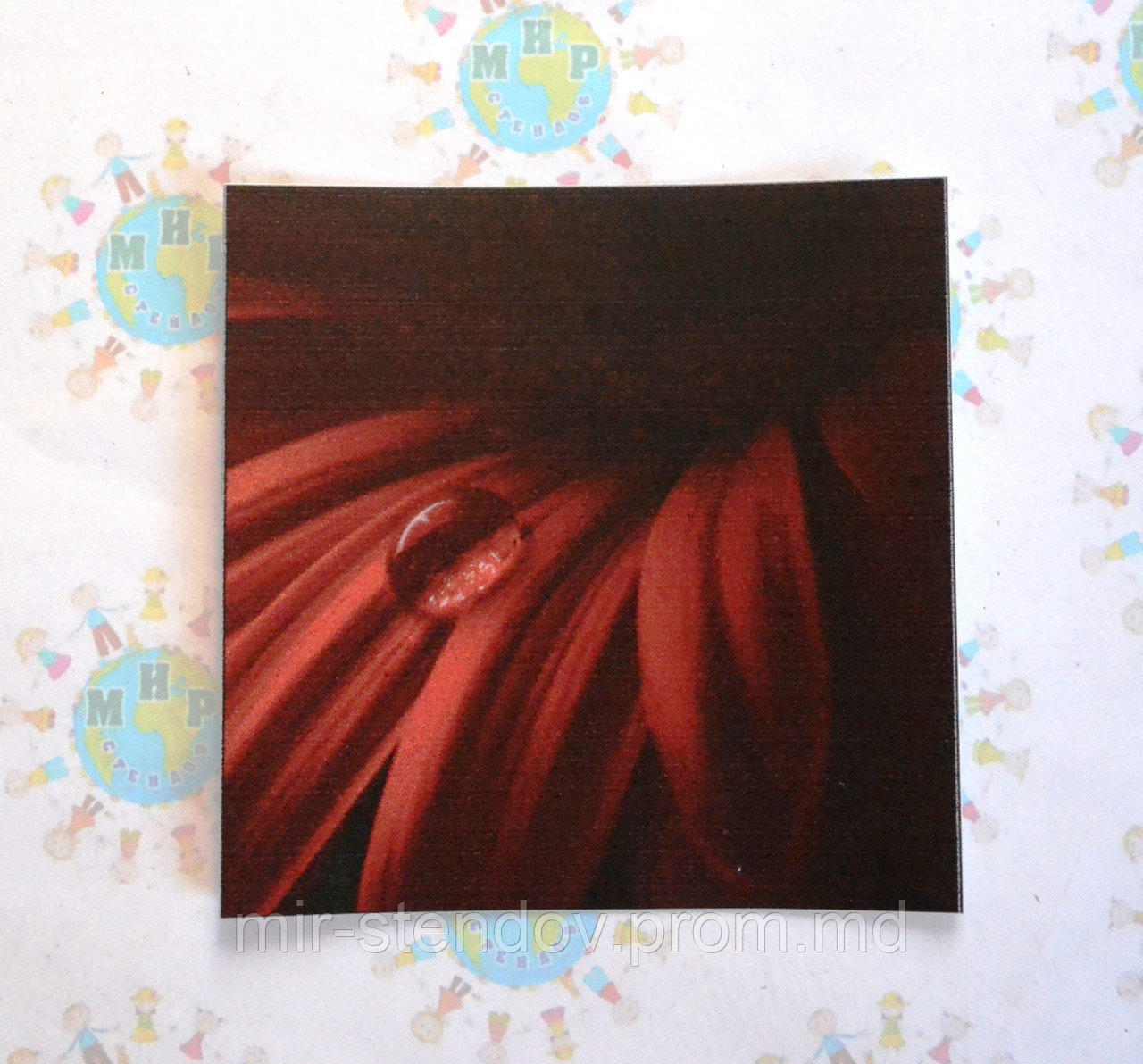 Наклейка на выключатель Росинка, фото 1