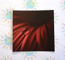 Наклейка на выключатель Росинка