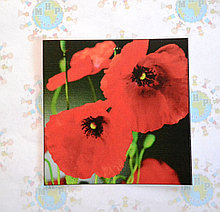 Наклейка на выключатель Маки