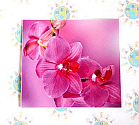 Наклейка на выключатель Орхидеи