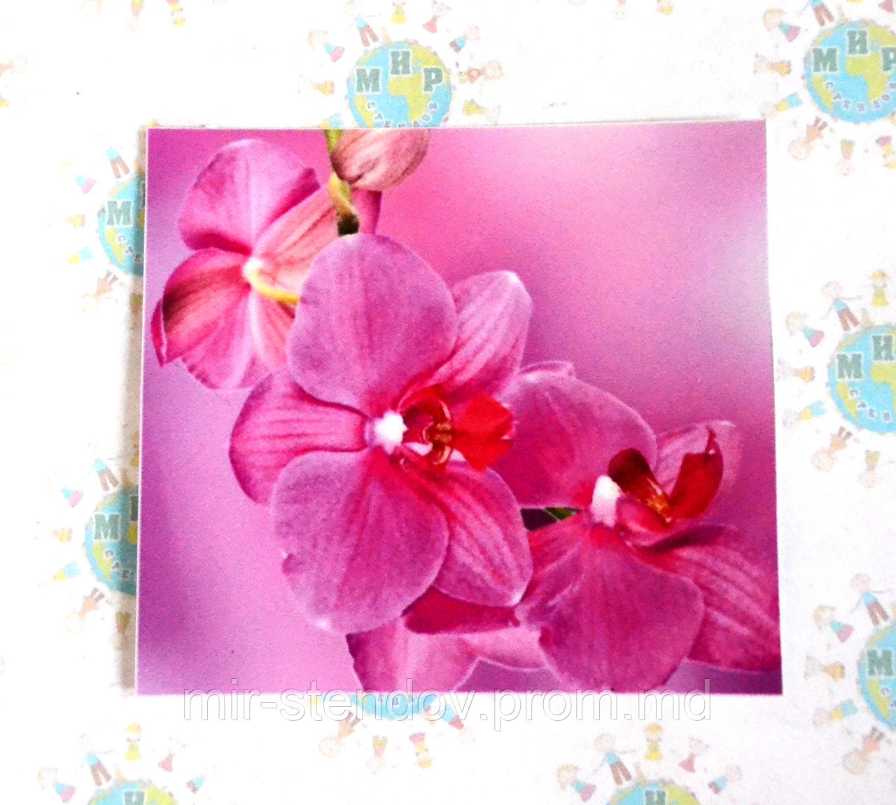 Наклейка на выключатель Орхидеи - фото 1 - id-p5997391