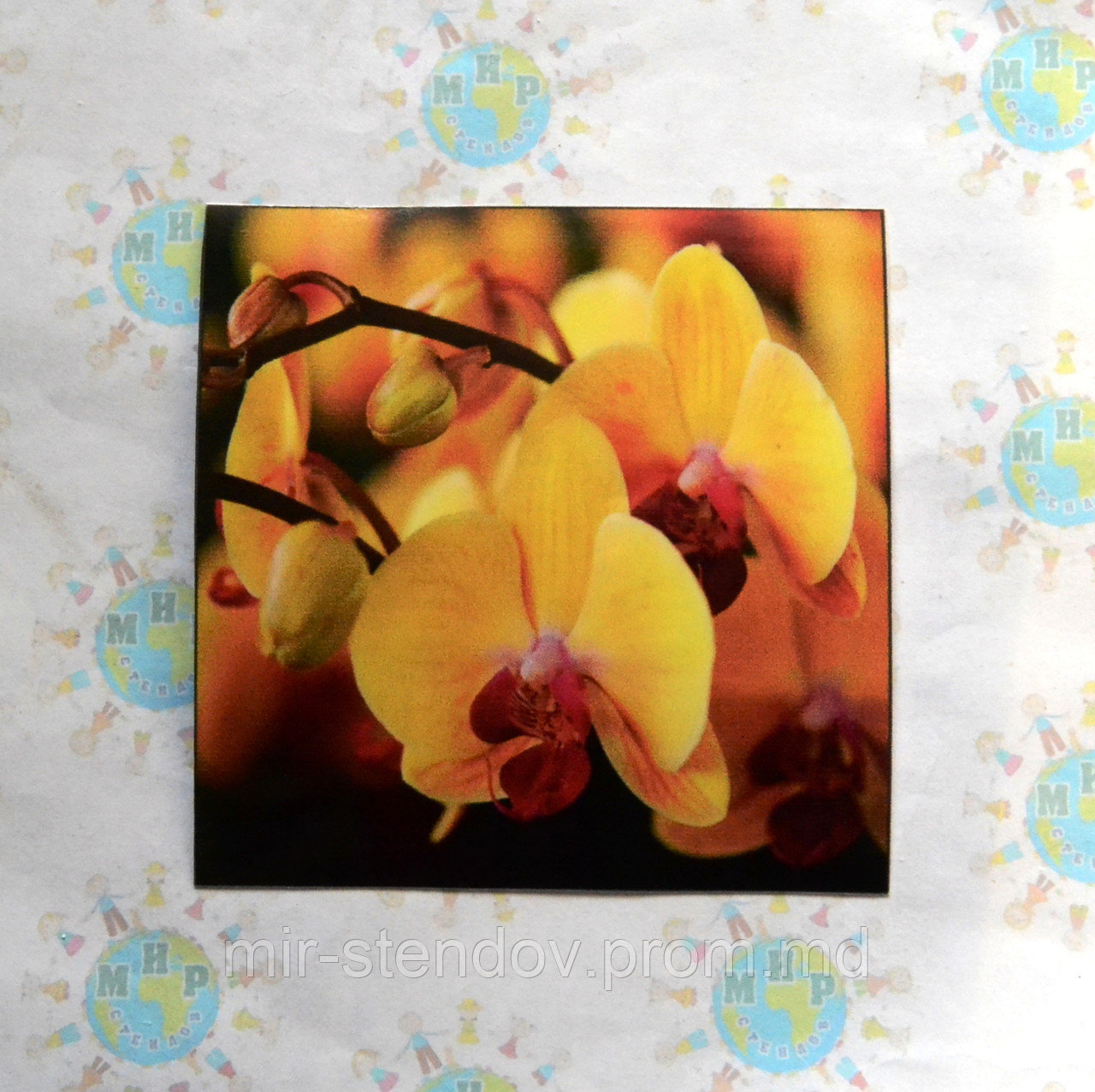 Наклейка на выключатель и розетку Орхидеи 2 - фото 1 - id-p5997484