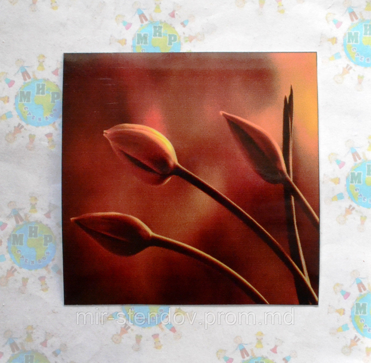 Наклейка на выключатель и розетку Тюльпаны - фото 1 - id-p5997487