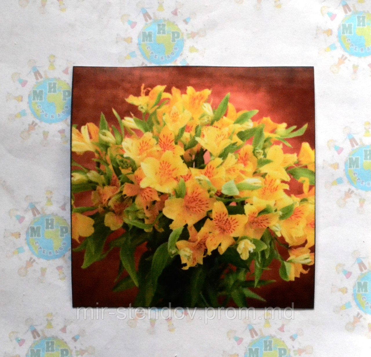 Наклейка на выключатель и розетку Ириски, фото 1