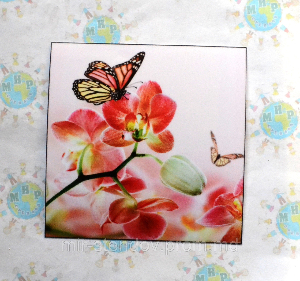 Наклейка на выключатель и розетку Орхидеи и бабочки - фото 1 - id-p5997489