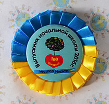 Значок Выпускник лицея с розеткой Символика