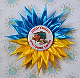 Значки для школьников с розеткой Украина, фото 2