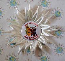 Значки для детского сада группы Телепузики с розеткой Ромашка