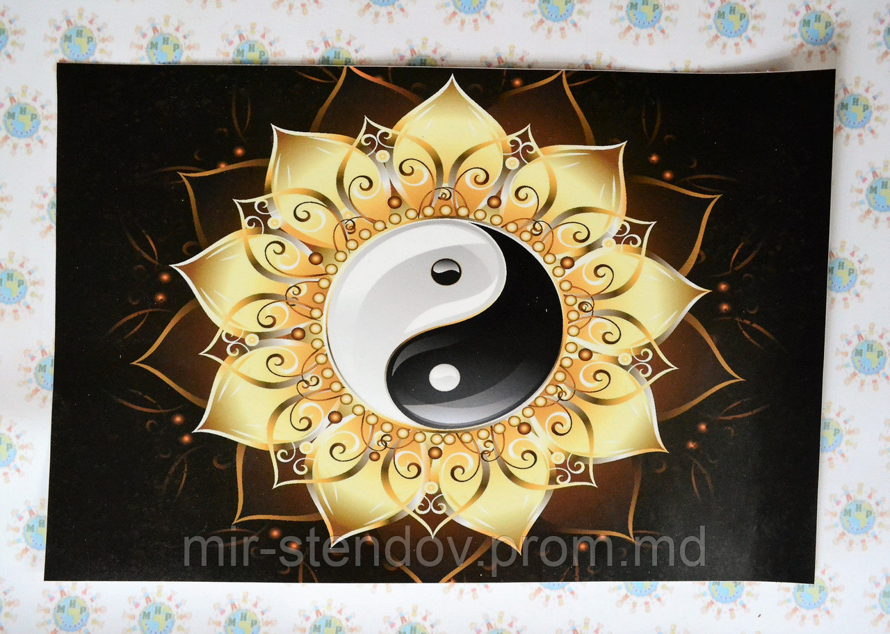 Наклейка на ноутбук. Инь Янь, фото 1