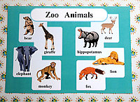 Zoo animals. Плакат для кабинета английского языка.