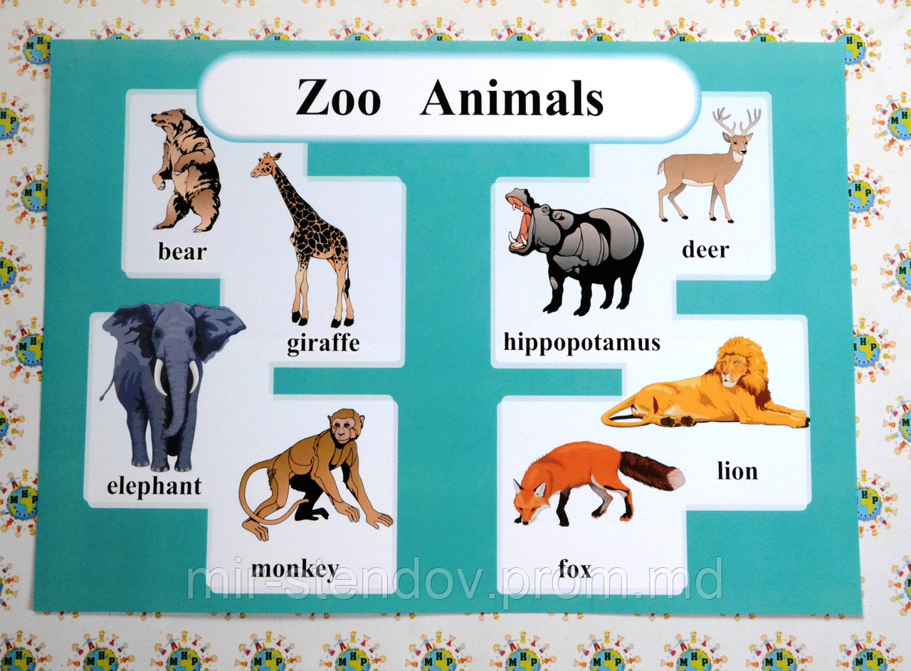 Zoo animals. Плакат для кабинета английского языка. - фото 1 - id-p5998393