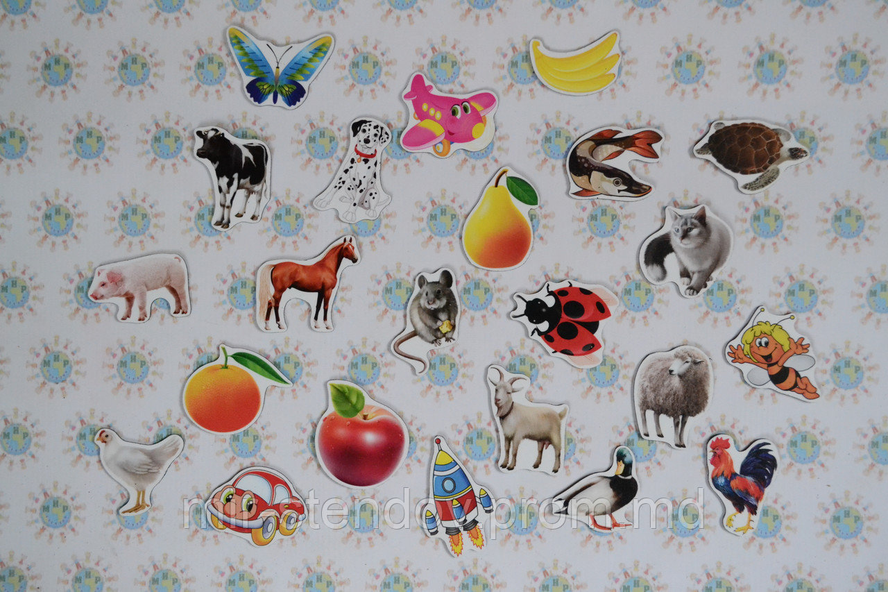 Магнитики развивающие. Набор для малышей, фото 1