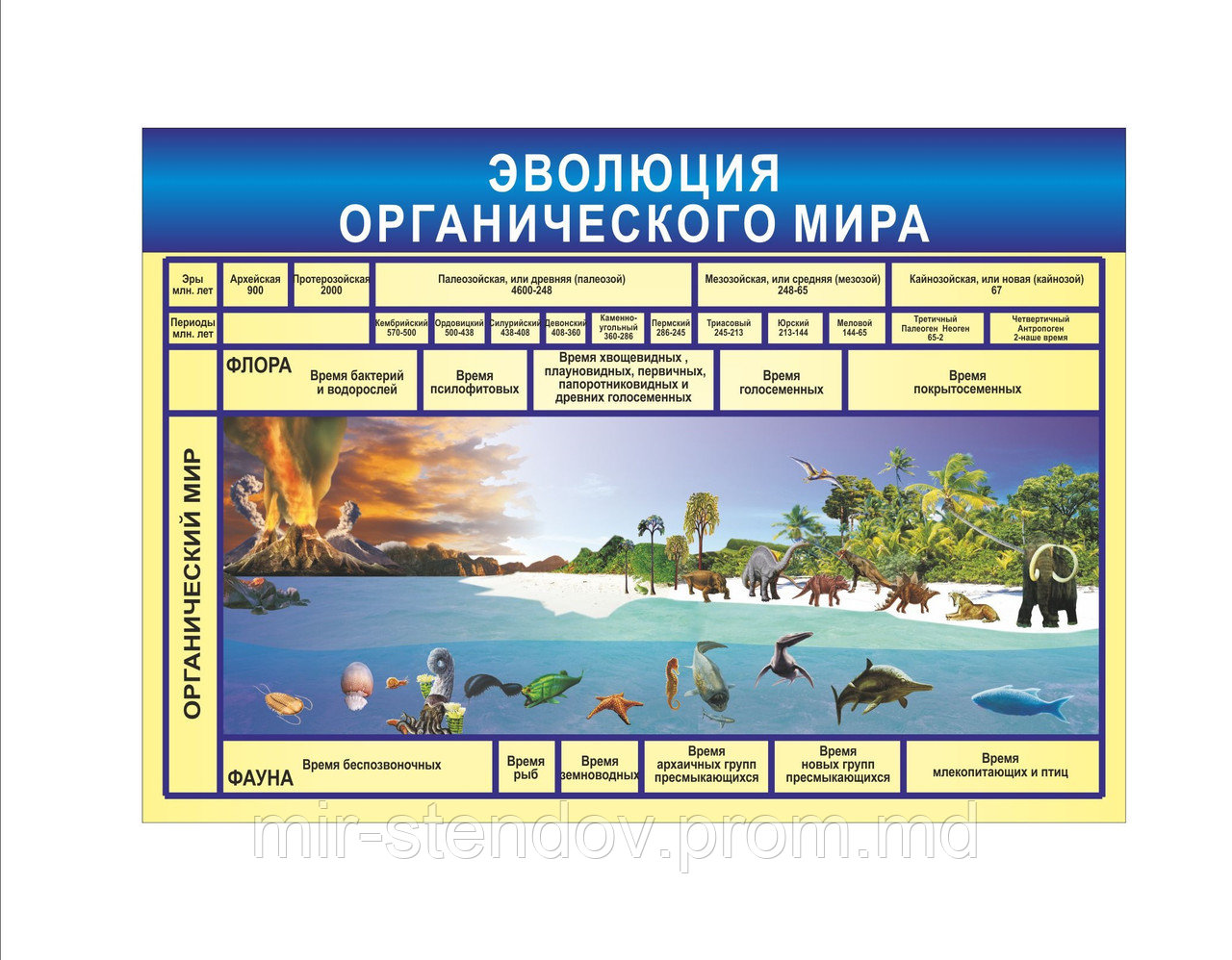 Плакат по Биологии Эволюция, фото 1