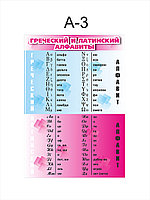 Плакат Греческий и латинский алфавиты