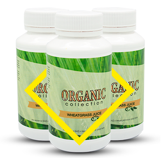 Витамины для спортсменов Wheatgrass Organic Collection (Витграсс) - фото 1 - id-p6010263