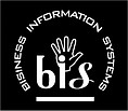 Центр обеспечения  РИЦ " B I S "
