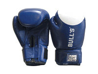 Перчатки боксерские Bull`s 12 oz TT 2002-12