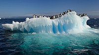 Tablou antarctida