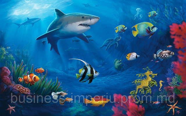 Tablou rechin - фото 1 - id-p1049942