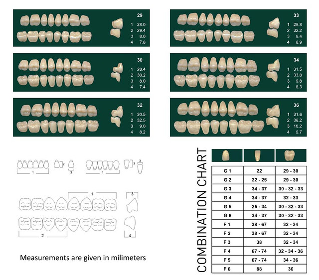 Акриловые зубы NT Optima - фото 1 - id-p1065526
