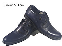 Туфли мужские классические натуральная кожа синие на шнуровке (563 ск)