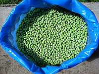 Замороженный горошек - Сербия / IQF green peas Serbia