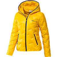 Neo Hooded Down Jacket