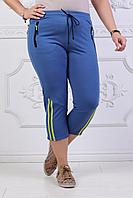 Женские спортивные трикотажные шорты бриджи с карманами на змейках, норма и батал большие размеры