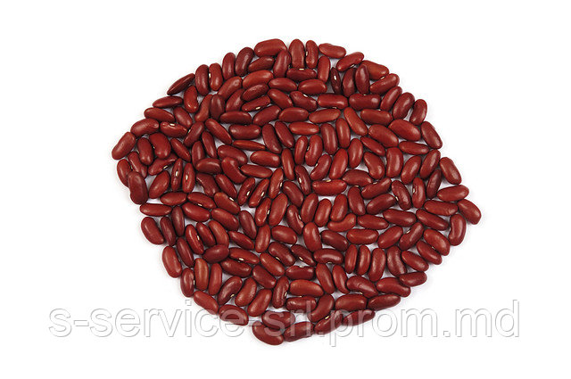 Фасоль красная и белая (Аргентина) / Beans red & white - Argentina - фото 1 - id-p1285967