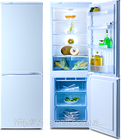 Холодильники с нижней морозильной камерой NORD 239-7