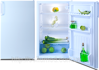 Однокамерные холодильники NORD 507 - фото 1 - id-p1337170